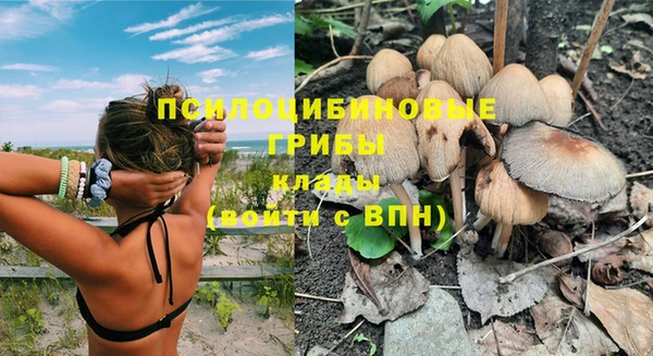 spice Алексин
