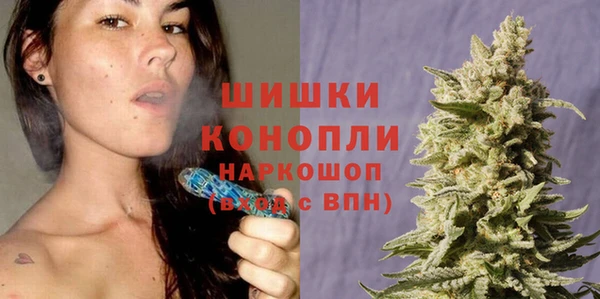 spice Алексин