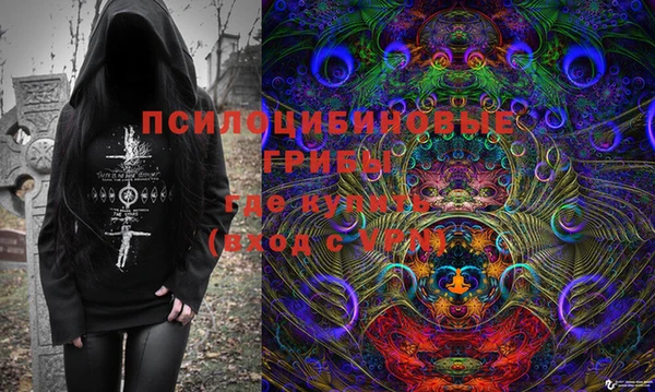 spice Алексин
